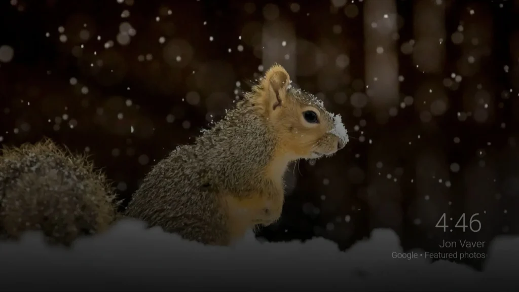 Squirrel in snow, surrounded by falling snowflakes, representing a cozy winter scene for screen saver settings on SuperBox devices.